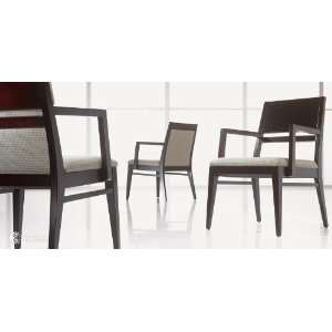 Flair Contemporary Guest Visitor Side Chair:  Home 