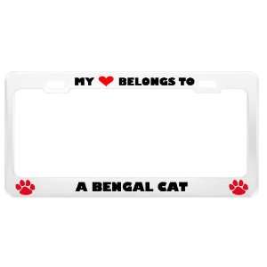  A Bengal Cat Pet White Metal License Plate Frame Tag 