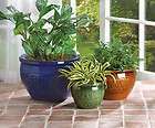NEW BARREVELD SET OF 3 CERAMIC BUTTERFLY PLANTERS  