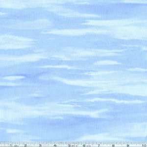  45 Wide Big Cats Sky Light Blue Fabric By The Yard: Arts 