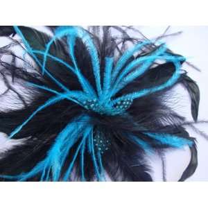   NEW Large Turquoise Blue and Black Feather Hair Clip, Limited.: Beauty