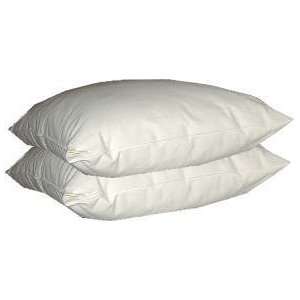 Organic Cotton Pillow 