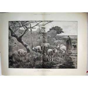   Good Shepherd Watching Sheep Paris Salon Print 1884