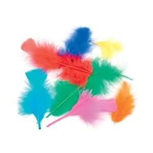  Midwest Design Flat Turkey Feathers 14 Grams 4 6 Assorted 