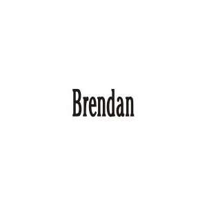  Brendan Laser Name Italian Charm Link: Jewelry