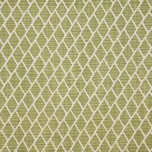  Tamar Apple by Pinder Fabric Fabric 