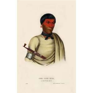 PEE CHE KIR, a Chippeway Chief McKenney Hall Indian Print Fine Art 