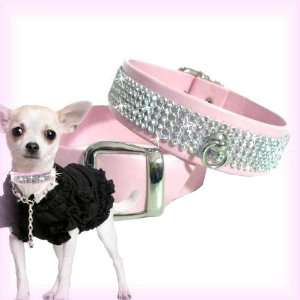   Nappa Rhinestone Dog Collar Chihuahua Hanmade in Italy: Pet Supplies
