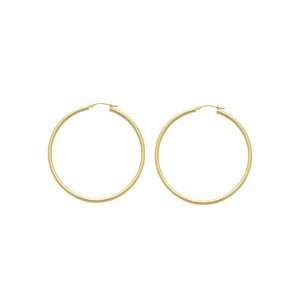  14K Yellow Gold Hoop Earrings: Katarina: Jewelry