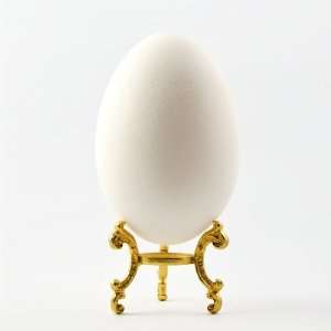   Egg Shell, Eggshell, Unpainted Shell, Blank Shell Egg: Home & Kitchen