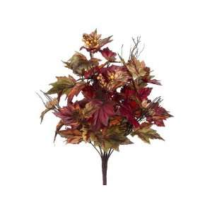  18 Deep Fall Maple Bush x5 w/Berries Burgundy Green (Pack 
