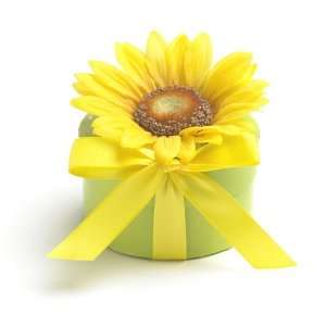    Bloembox Original: Sunflower in Gift Box: Patio, Lawn & Garden