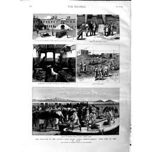  1883 WAR SOUDAN BAKER PASHA SUEZ WATERING HORSES BOULAK 