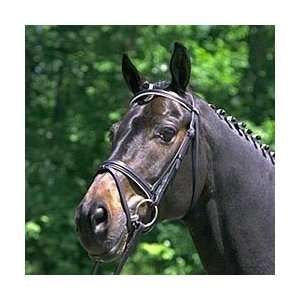  Stubben Padded Snaffle Bridle: Sports & Outdoors