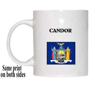  US State Flag   CANDOR, New York (NY) Mug: Everything Else