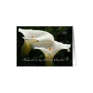 Hip Replacement, Get Well   White Lilys Card