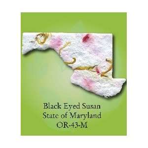  OR 43 M    Seeded State of Maryland Shape Black Eyed Susan 