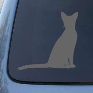  ABYSSINIAN   Cat   Vinyl Car Decal Sticker #1479  Vinyl 