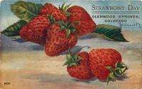 Adv Postcard Strawberry Day Glenwood Springs Colorado CO  