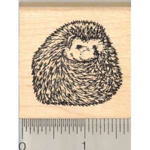  Small Punky Rubber Stamp Arts, Crafts & Sewing
