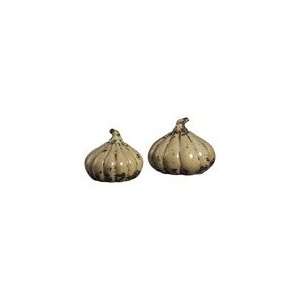  Set Of 2 Ceramic Squashes Accessory by Sterling Industries 