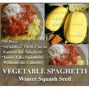   SPAGHETTI Squash seeds Winter Flesh looks and tastes like spaghetti