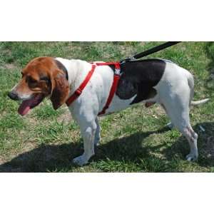  Scotts Adjustable Harness   1 (22 38 chest) Red