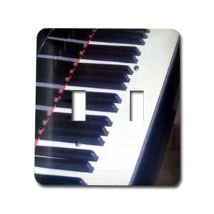  Piano Keys Switch Plate / 2 Toggle