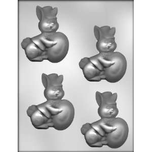   Bunny w/ Egg Easter Chocolate Candy CANDY MOLD