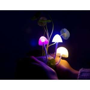  Solar Mushroom Lamp   Avatar Plant Flowers Night Light 