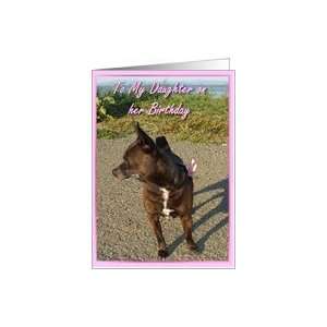    Happy Birthday Daughter Chocolate Chihuahua Card Toys & Games