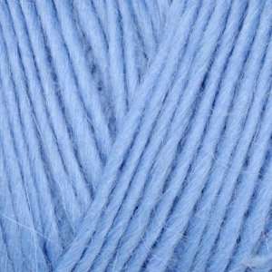   Worsted Yarn (3686) Carolina Blue By The Skein Arts, Crafts & Sewing