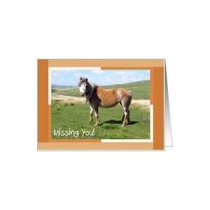  Missing You   Roan Wild Pony, Orange & White Frame Card 