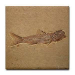 Fish Fossil Ceramic Art Hobbies Tile Coaster by   