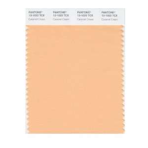  PANTONE SMART 13 1022X Color Swatch Card, Caramel Cream 