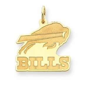  14K Buffalo Bills Large Team Logo Charm: Everything Else