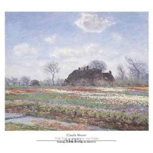  Tulip Fields at Sassenheim   Poster by Claude Monet (26x23 