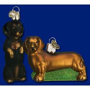  Old World Christmas dachsund dog ornament 3 1/4 Home 