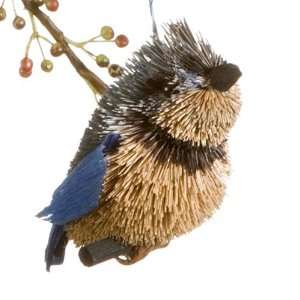  Blue Jay Brush Art Bird: Home & Kitchen
