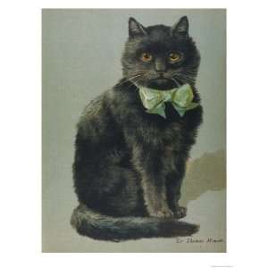  Black Cat Sir Thomas Mouser Sits Posed with a Green Ribbon Around 