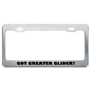  Got Greater Glider? Animals Pets Metal License Plate Frame 