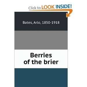 Berries of the brier Arlo Bates Books