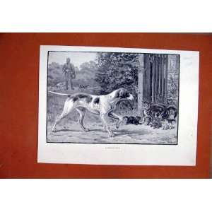  1889 Man Shooting Gun Country Dog Cat Kitten Pets Print 