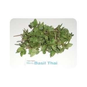 Micro Greens   Thai Basil   4 x 8 oz Grocery & Gourmet Food
