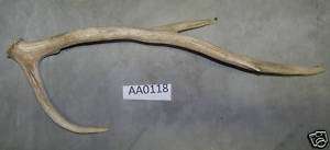 Axis Deer Shed, Hunting ,Knife, Art, Bone, Horn AA0118  
