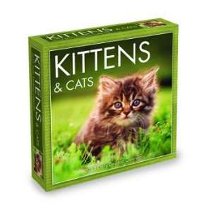  Kittens & Cats 2013 Daily Boxed Desktop Calendar