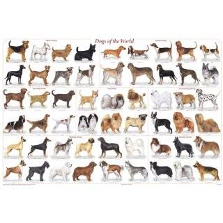 Wall Décor Animals Dogs & Puppies