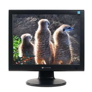  15 Gateway FPD1565 DVI LCD Monitor (Black): Electronics