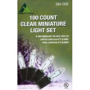    100 Count Clear Miniature Christmas Light Set: Home & Kitchen
