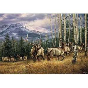  Rosemary Millette   Backcountry Elk